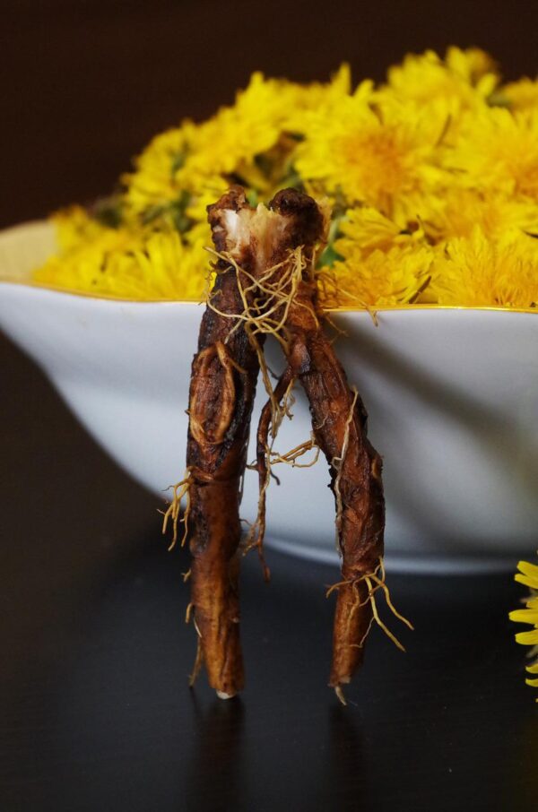 dandelion, health, salad-1311724.jpg