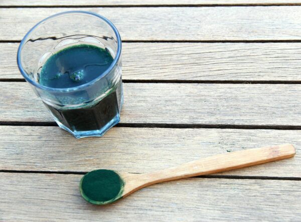 spirulina, seaweed, vegetable proteins-1829076.jpg